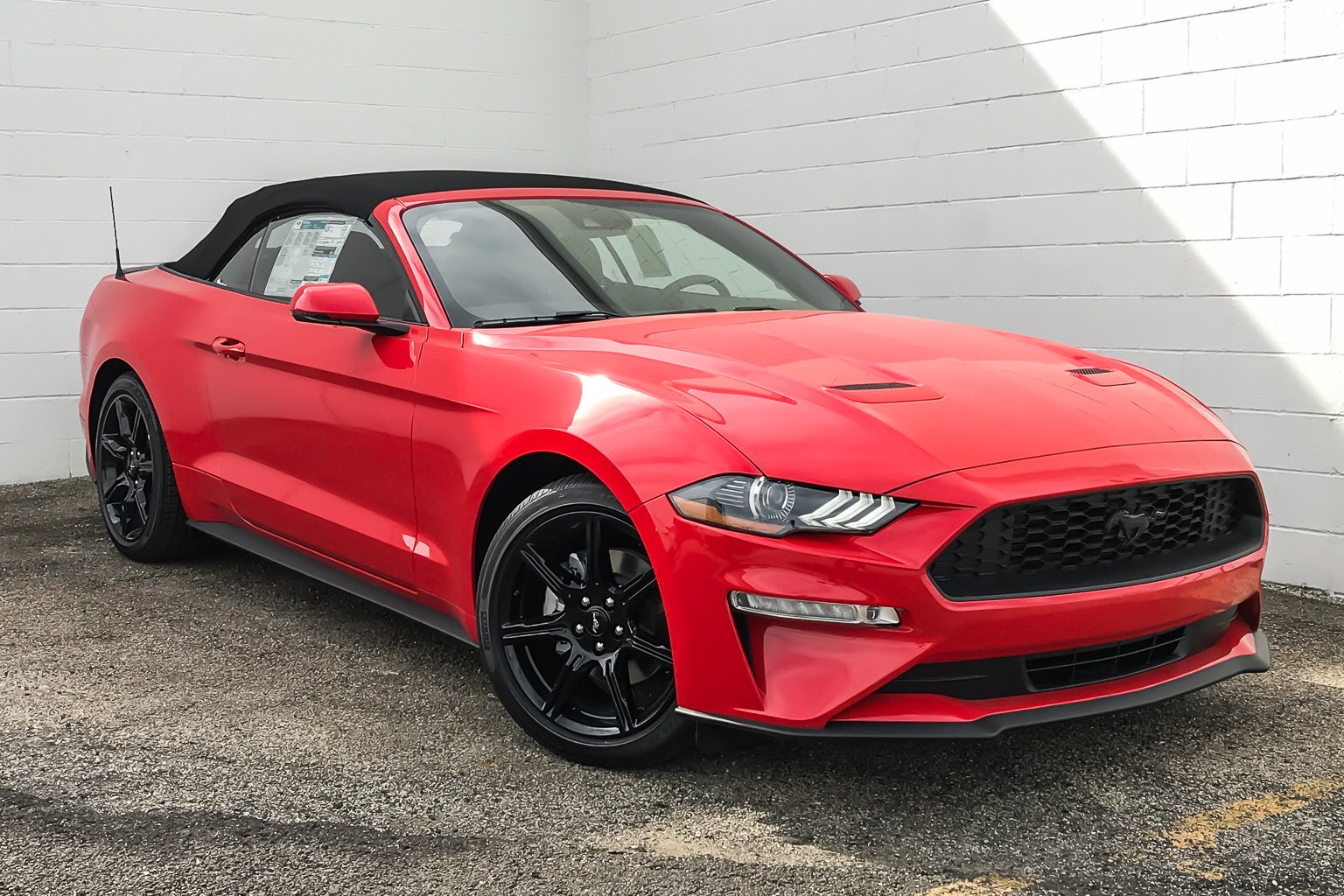 New 2019 Ford Mustang EcoBoost Premium 2D Convertible in Morton #157473 ...